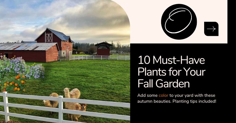 Gardening in Georgia: 10 Fall Plants You Must Add to Your Garden This October