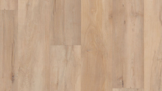 COREtec PREMIUM Brookefield Maple